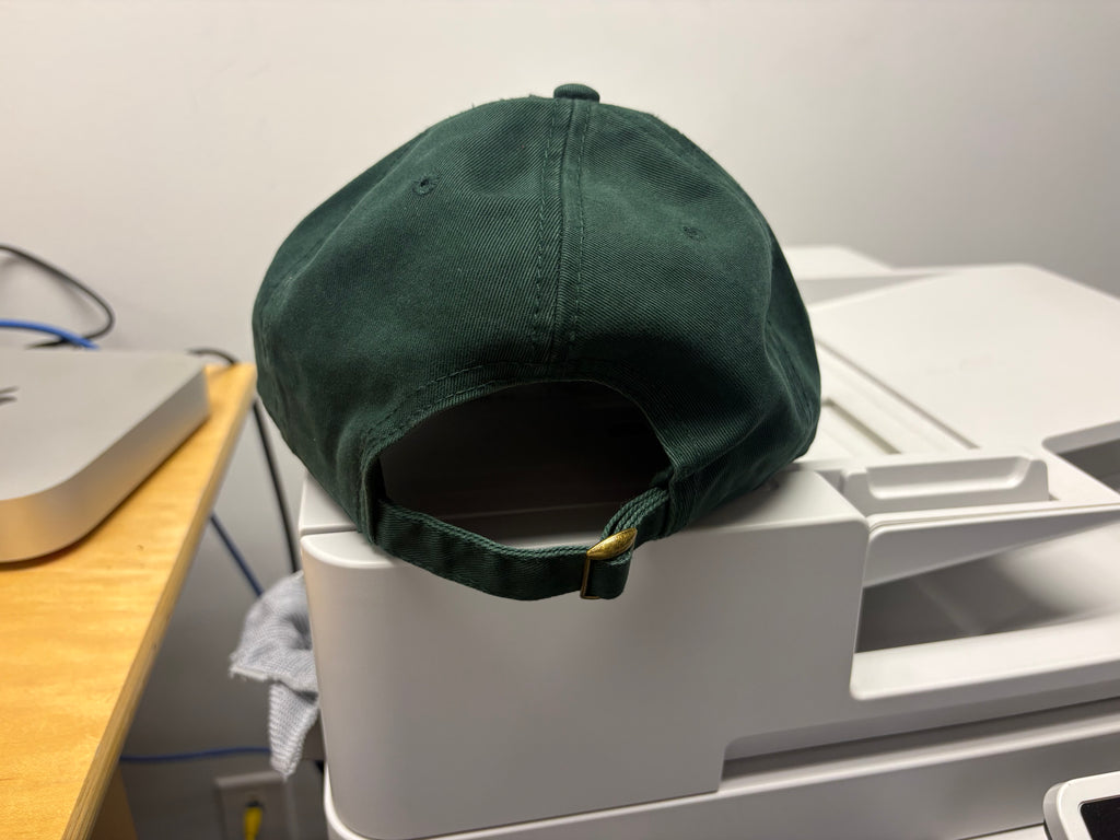 Rebirth - Dad Hat